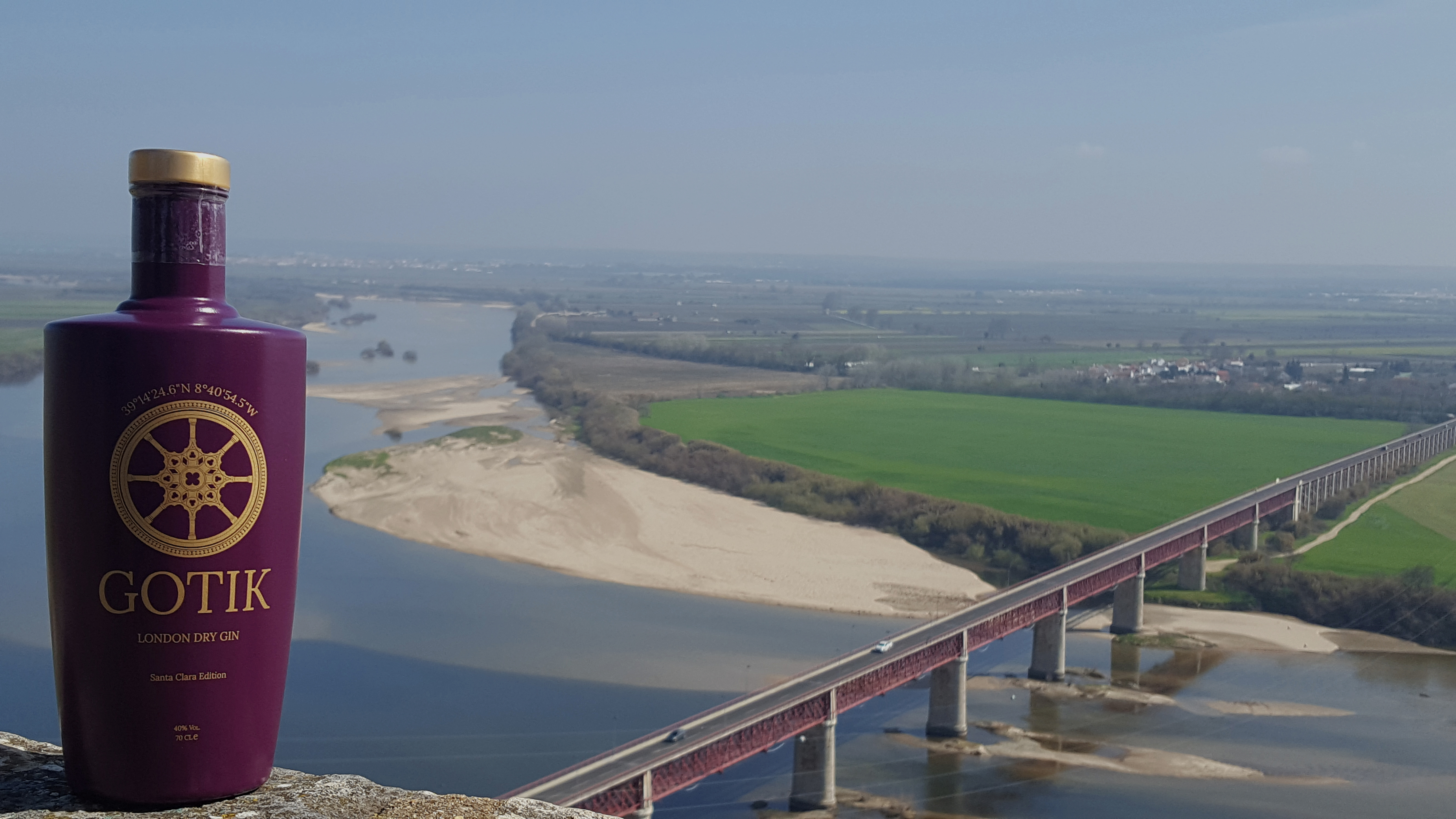 Branding e Design Gotik Gin