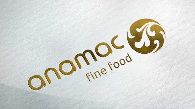 Creation of logo and branding Anamac