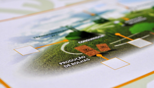 Marketing strategy Amorim Group