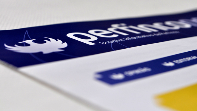 Design of newsletter Perfinco 