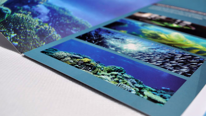 Design of Brochure Ciimar
