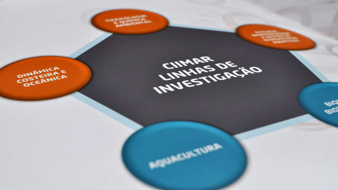 Design of Brochure Ciimar