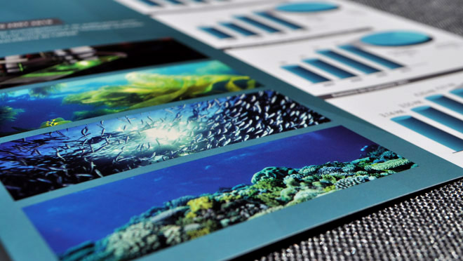 Design of Brochure Ciimar