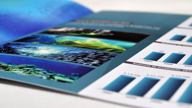 Design of Brochure Ciimar