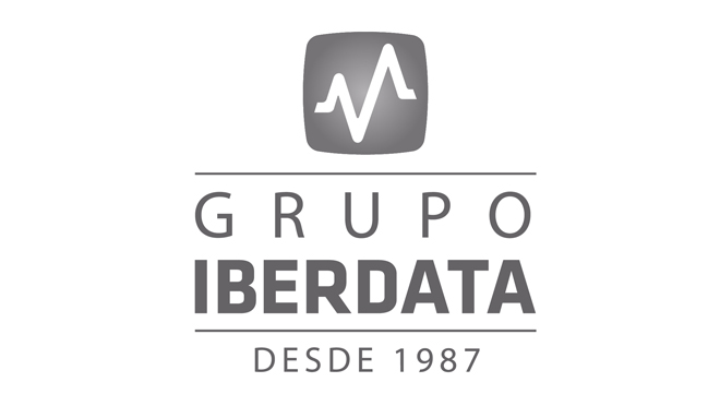 Creation of logo and branding Group Iberdata