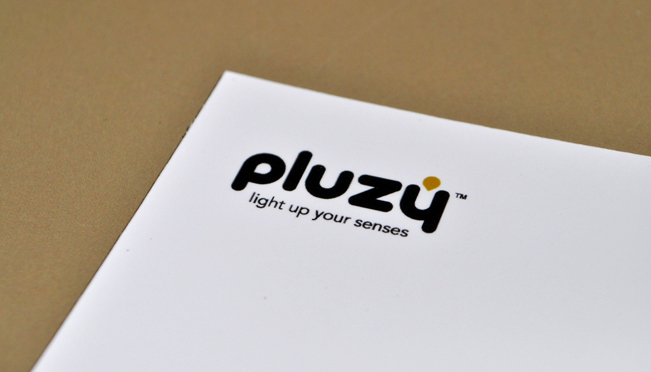 Création de logo et image de marque Pluzy