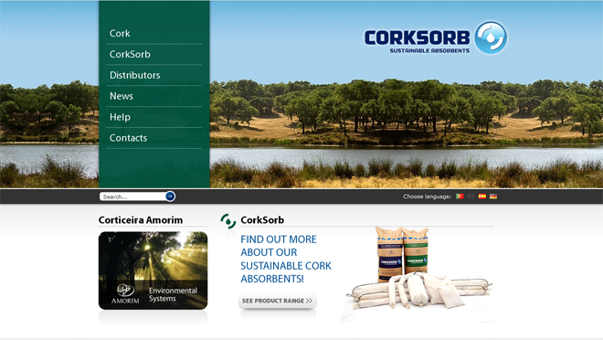 Website creation and web design Amorim Group