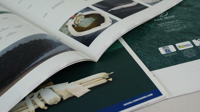 Conception de la brochure Groupe Amorim