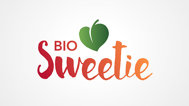 Creation of logo and branding Sweetie