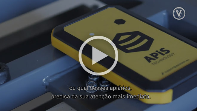 Reportagem para a GlobalMedia