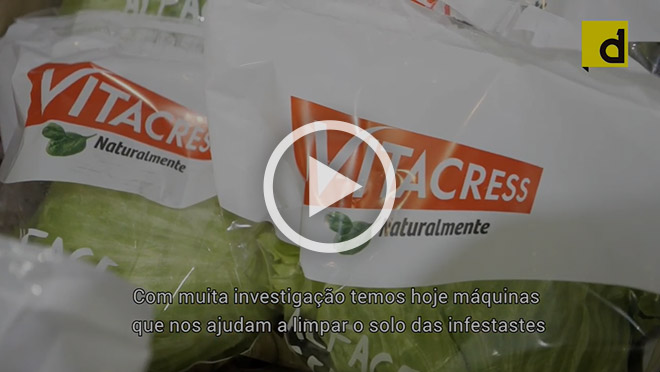 Produção vídeo Vitacress