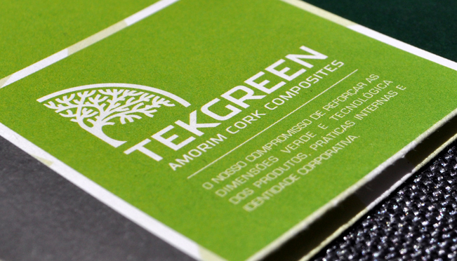 Création de logo et image de marque Tekgreen