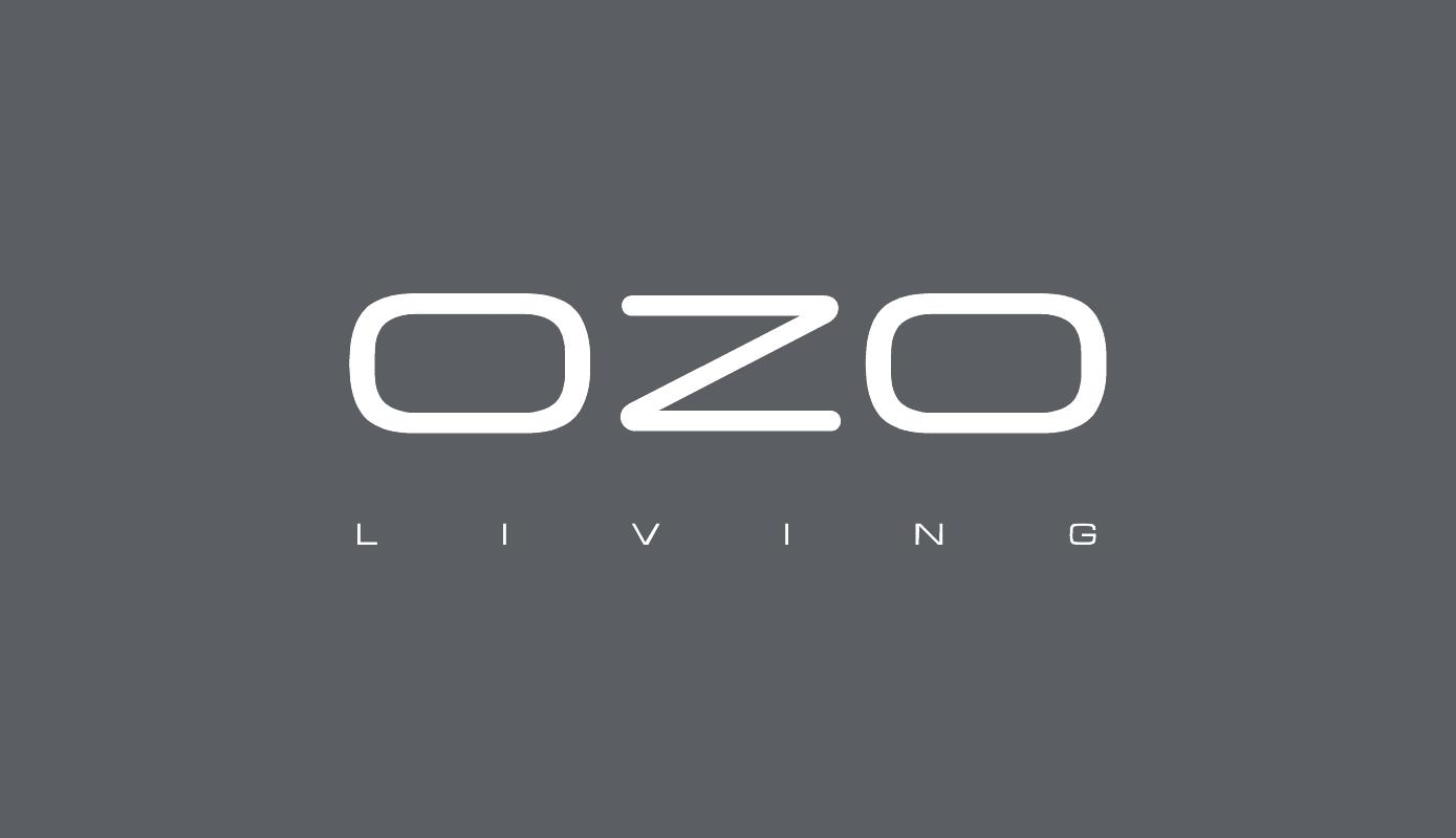 Creation of the logo and name OZO living