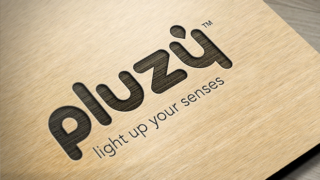 Création de logo et image de marque Pluzy