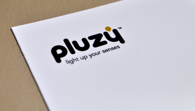 Création de logo et image de marque Pluzy
