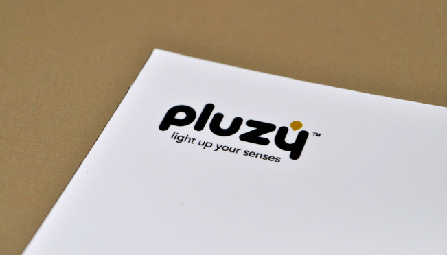 Criação de logótipo e branding Pluzy